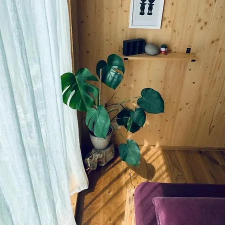 Modernes Tiny House Am Wald *